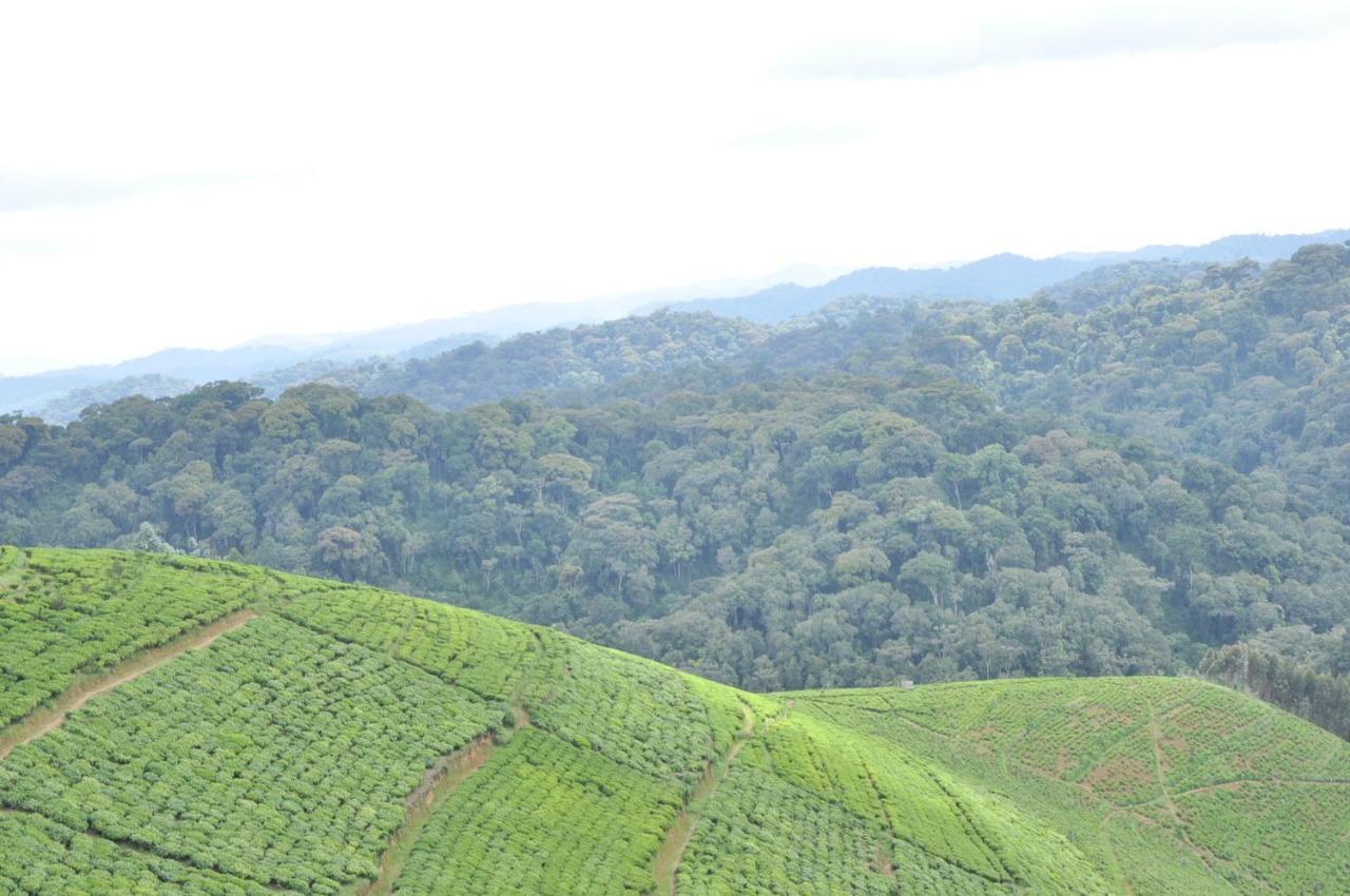 Nyungwe Nziza Ecolodge Kitabi Екстер'єр фото