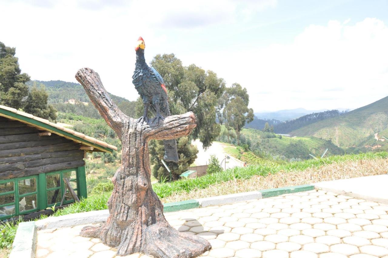 Nyungwe Nziza Ecolodge Kitabi Екстер'єр фото
